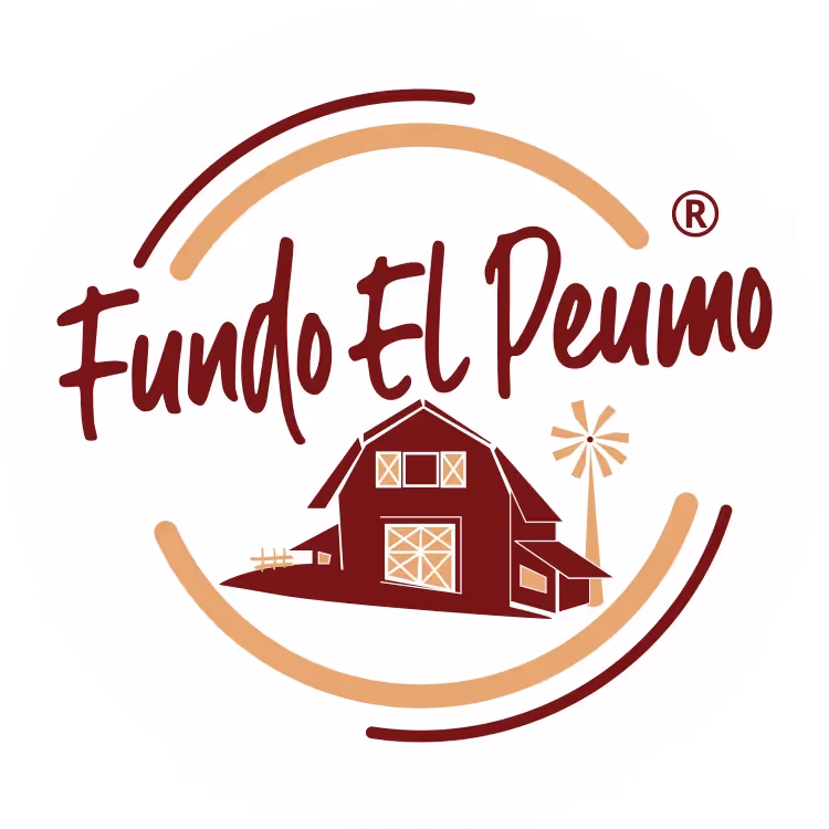 logo-fundo