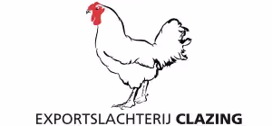 logo-clazing