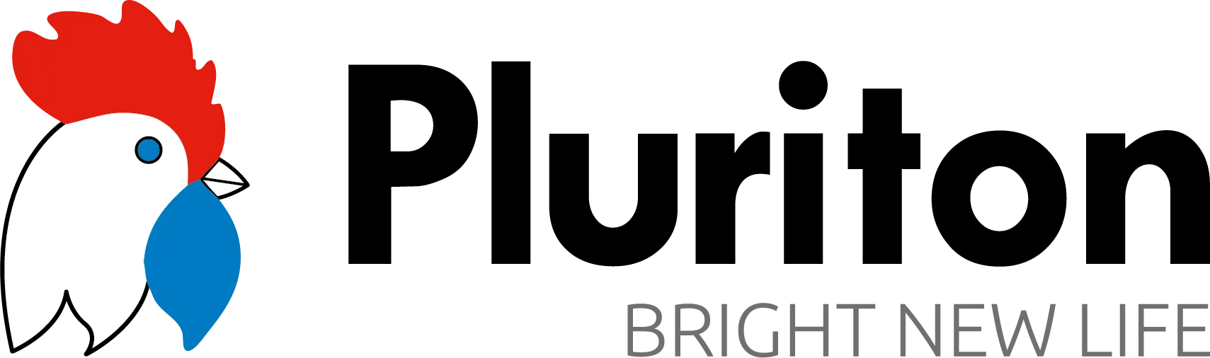 logo pluriton
